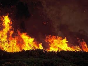 Curso en línea de Extinción de Incendios Forestales