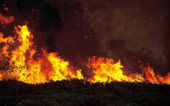 Curso en línea de Extinción de Incendios Forestales