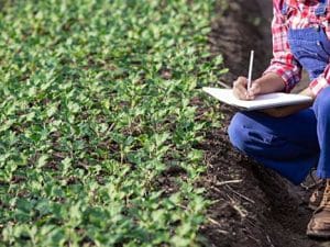 Curso en línea Profesional de Agricultura