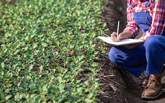 Curso en línea Profesional de Agricultura