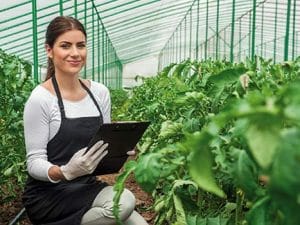 Curso en línea de Mantenimiento y Manejo de Invernaderos