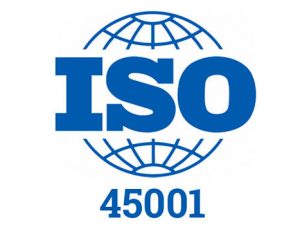 Curso en línea de ISO 45001:2018 - Sistemas de Gestión de la Seguridad y Salud en el Trabajo