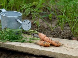 Curso en línea de Agricultura Ecológica